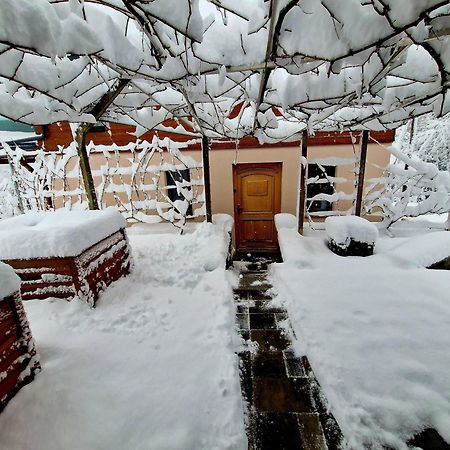 Vineyard Cottage Matej 트레브네 지방 자치제 외부 사진
