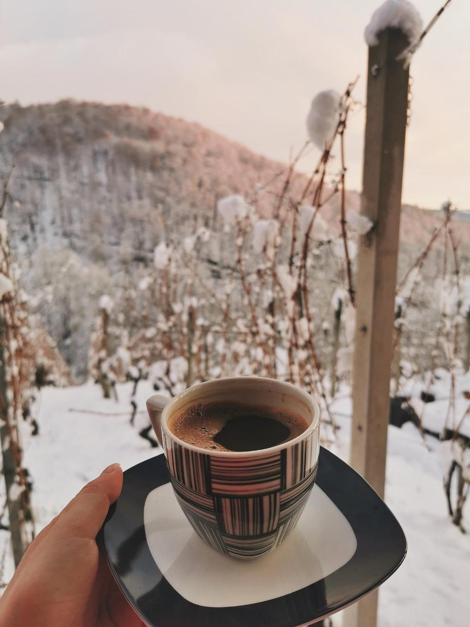 Vineyard Cottage Matej 트레브네 지방 자치제 외부 사진