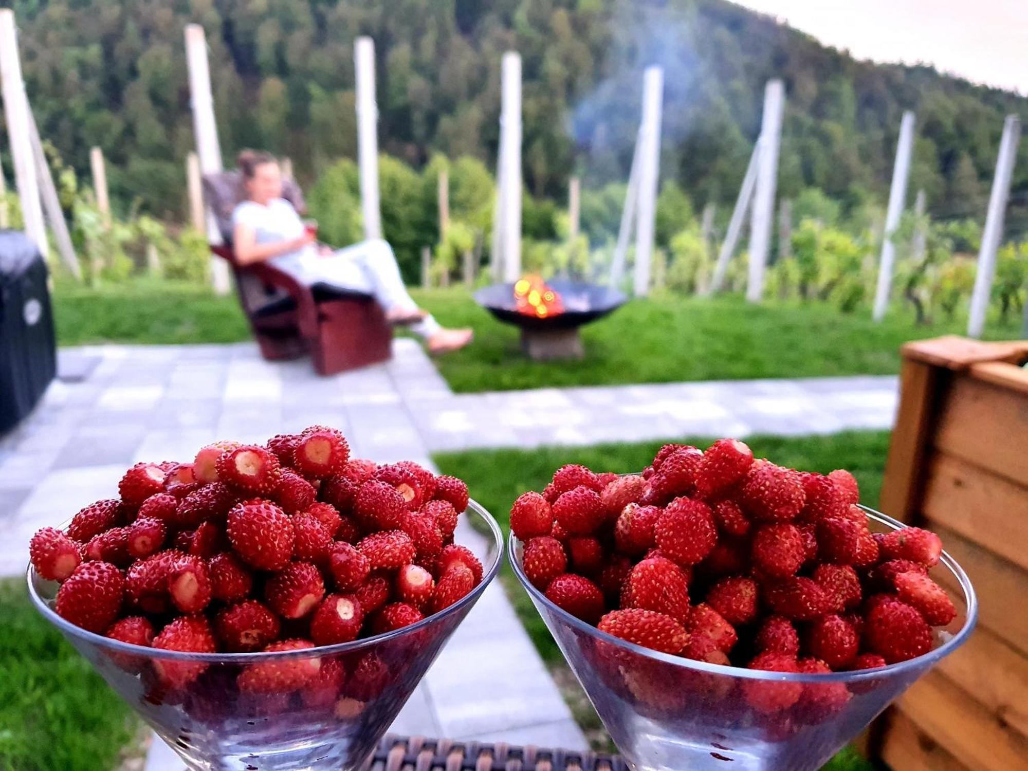 Vineyard Cottage Matej 트레브네 지방 자치제 외부 사진