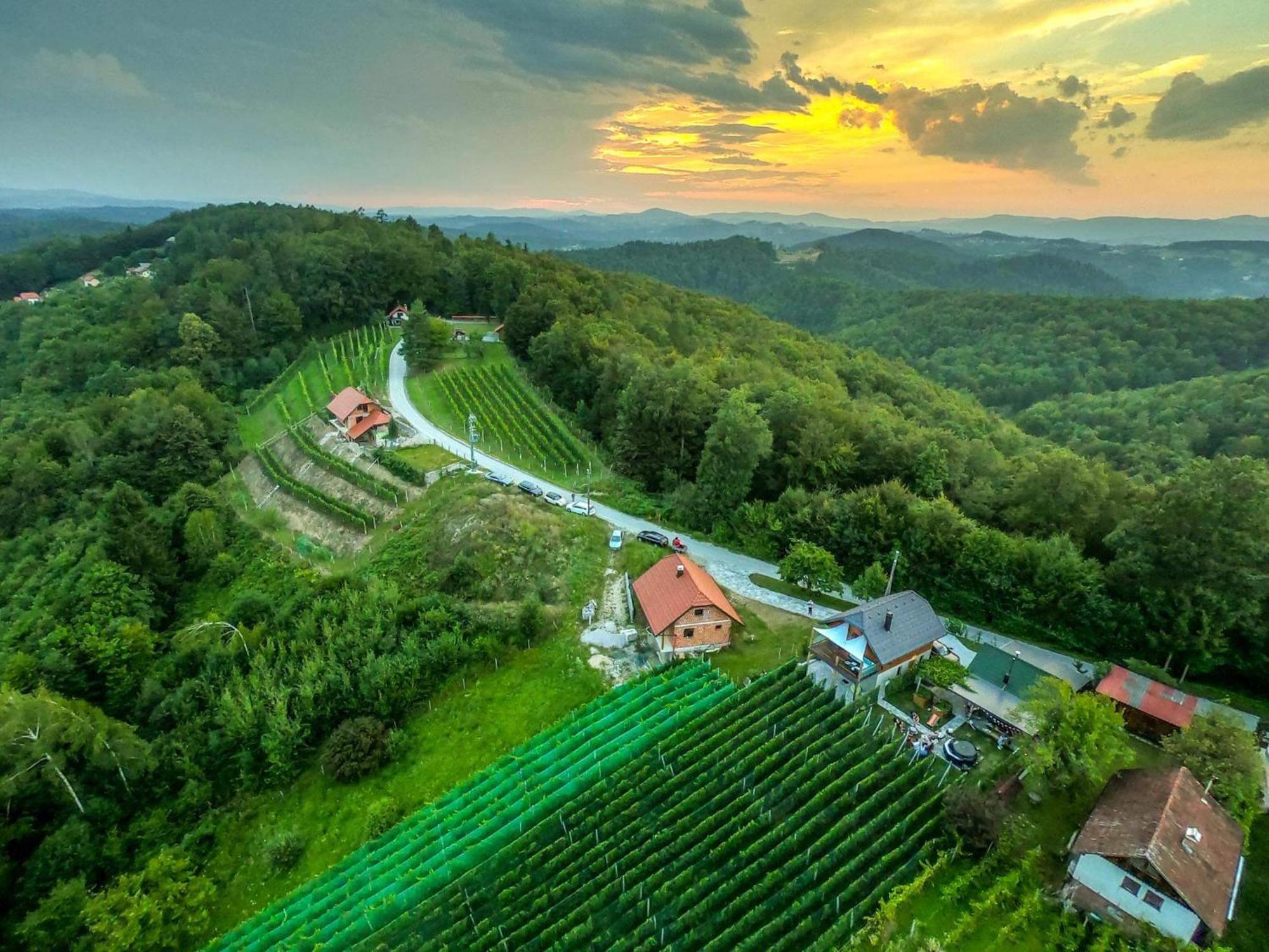 Vineyard Cottage Matej 트레브네 지방 자치제 외부 사진